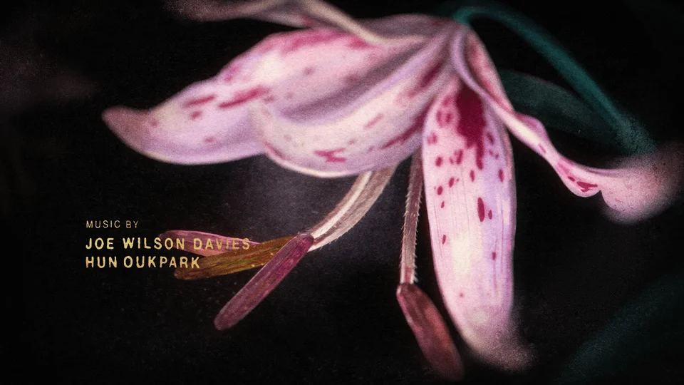 The Tale of Silyan End Titles - Gallery Image 6