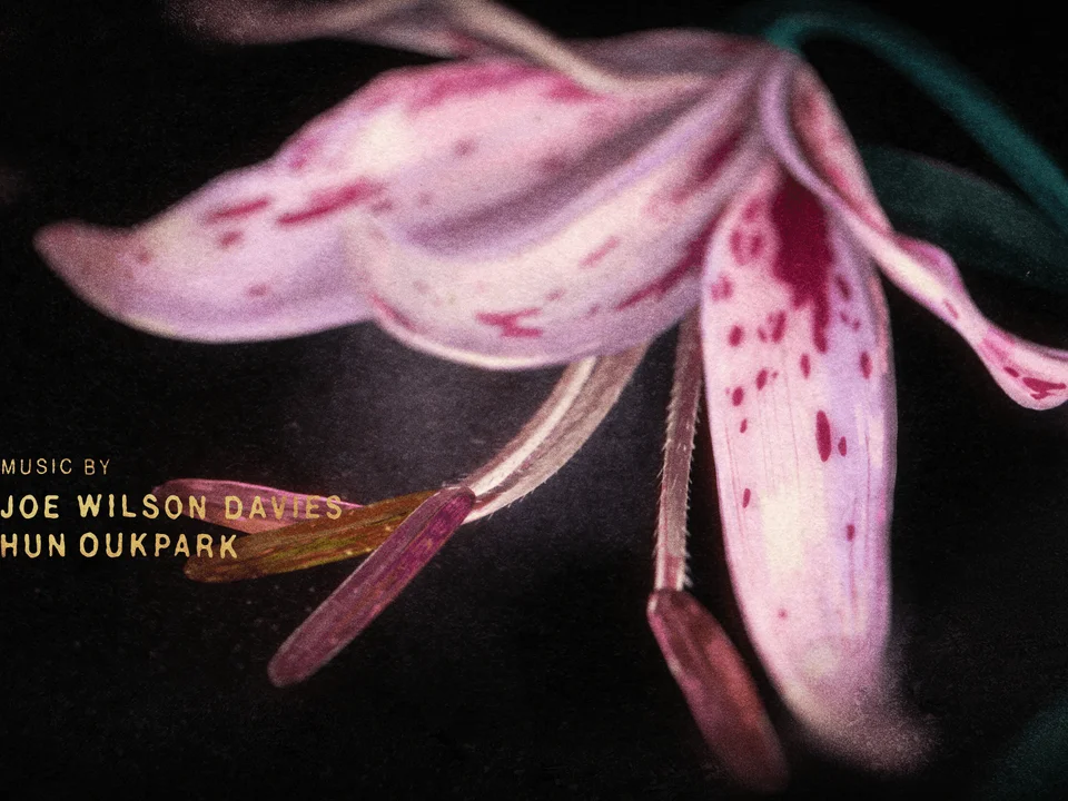 The Tale of Silyan End Titles - Gallery Image 6