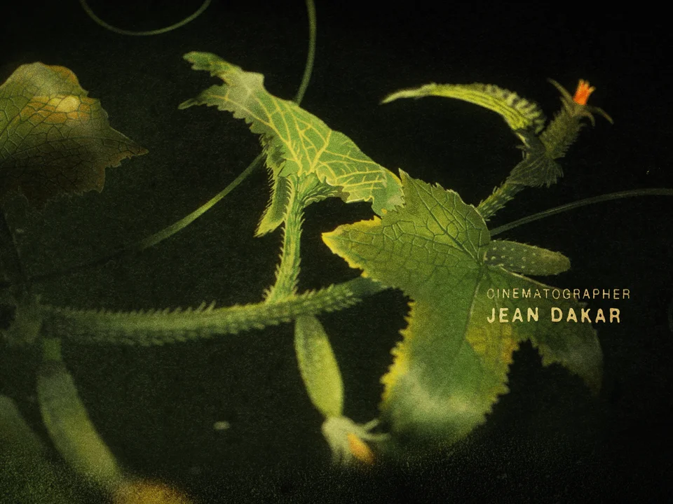 The Tale of Silyan End Titles - Gallery Image 4