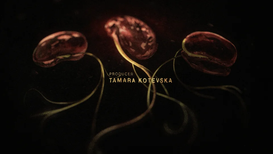 The Tale of Silyan End Titles - Gallery Image 2