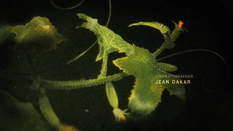 The Tale of Silyan End Titles - Gallery Image 4