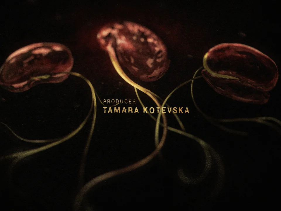 The Tale of Silyan End Titles - Gallery Image 2